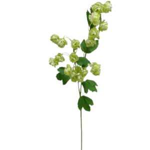 Faux Tall Hop Flower