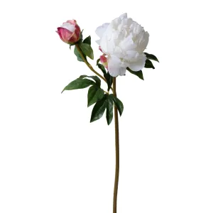 Peony Stem with Bud & Leaves, 26" -White